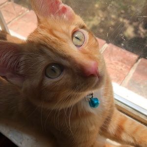 Meet your Posher, Elise